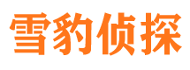 岳阳找人公司